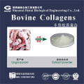 high quality natural Bovine collagen